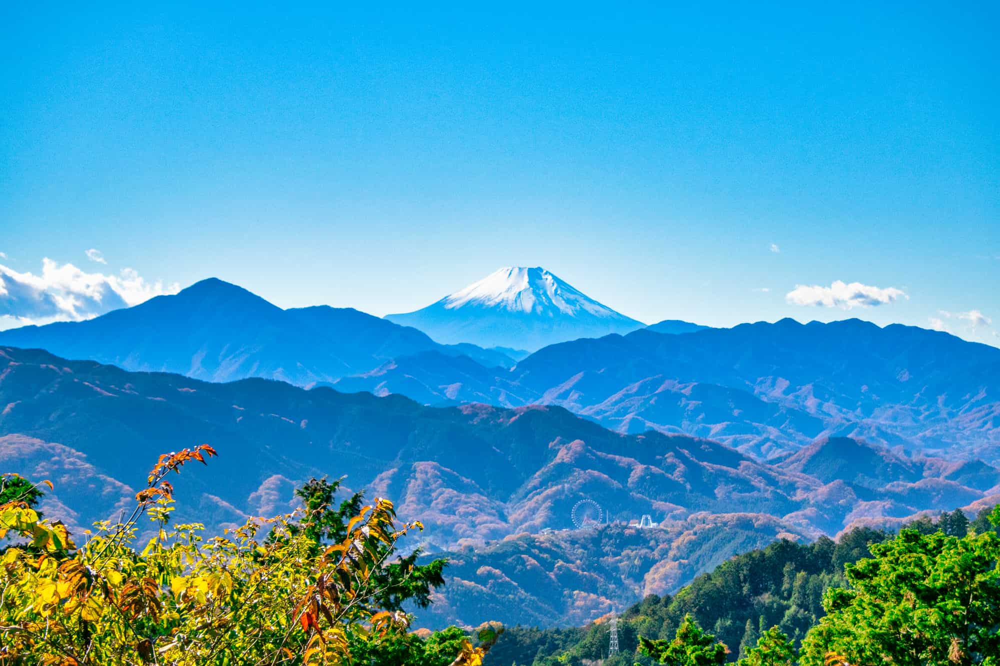 高尾山から望む富士山